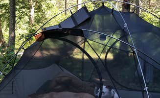 Jennifer H.'s photo at George H. Crosby Manitou State Park Campground near Tofte, MN