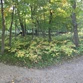 Review photo of Glendalough State Park Campground by Janet R., September 21, 2020