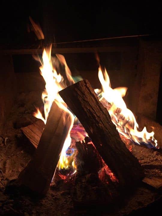 Camper-submitted photo at Shades State Park Campground near Cecil M. Harden Lake