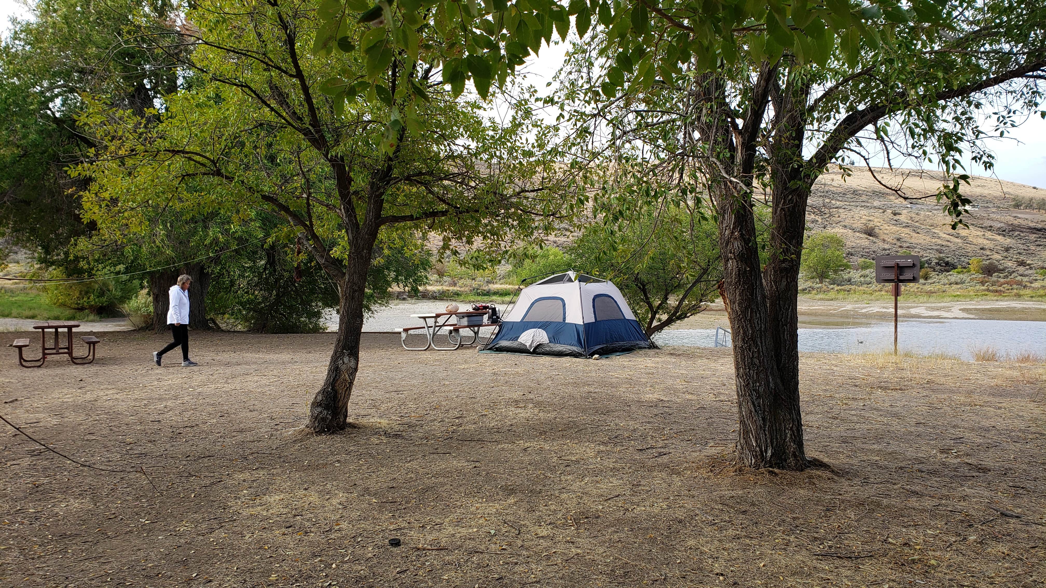 Jim P.'s photo of tent camping at Plum Point — Lake Roosevelt National Recreation Area near Davenport, WA