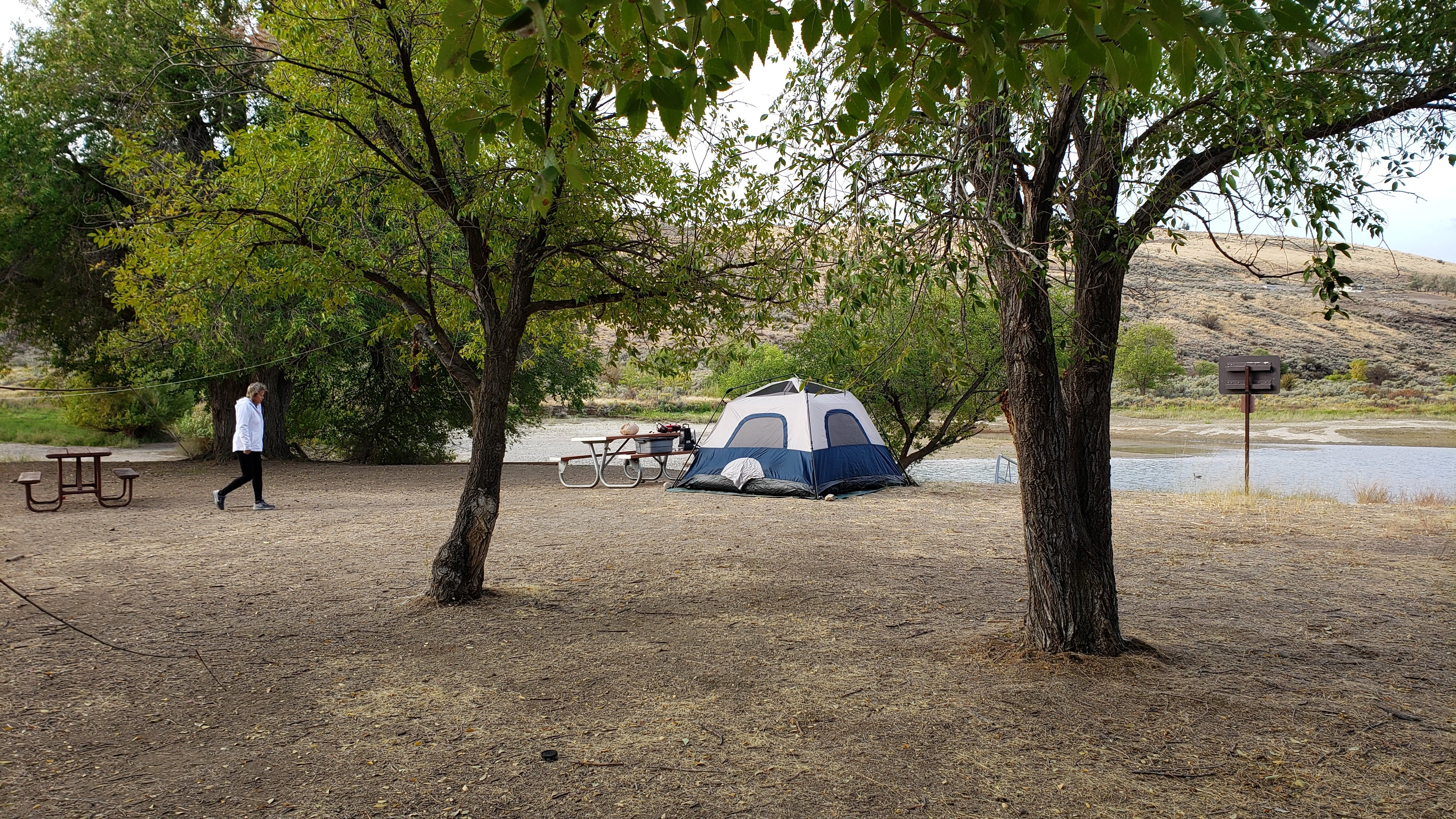 Camper submitted image from Plum Point — Lake Roosevelt National Recreation Area - 1