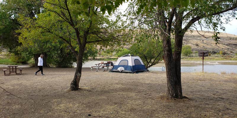 Camper submitted image from Plum Point — Lake Roosevelt National Recreation Area