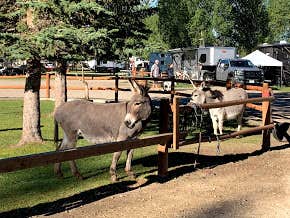 Camper-submitted photo at Gunnison KOA near Powderhorn, CO