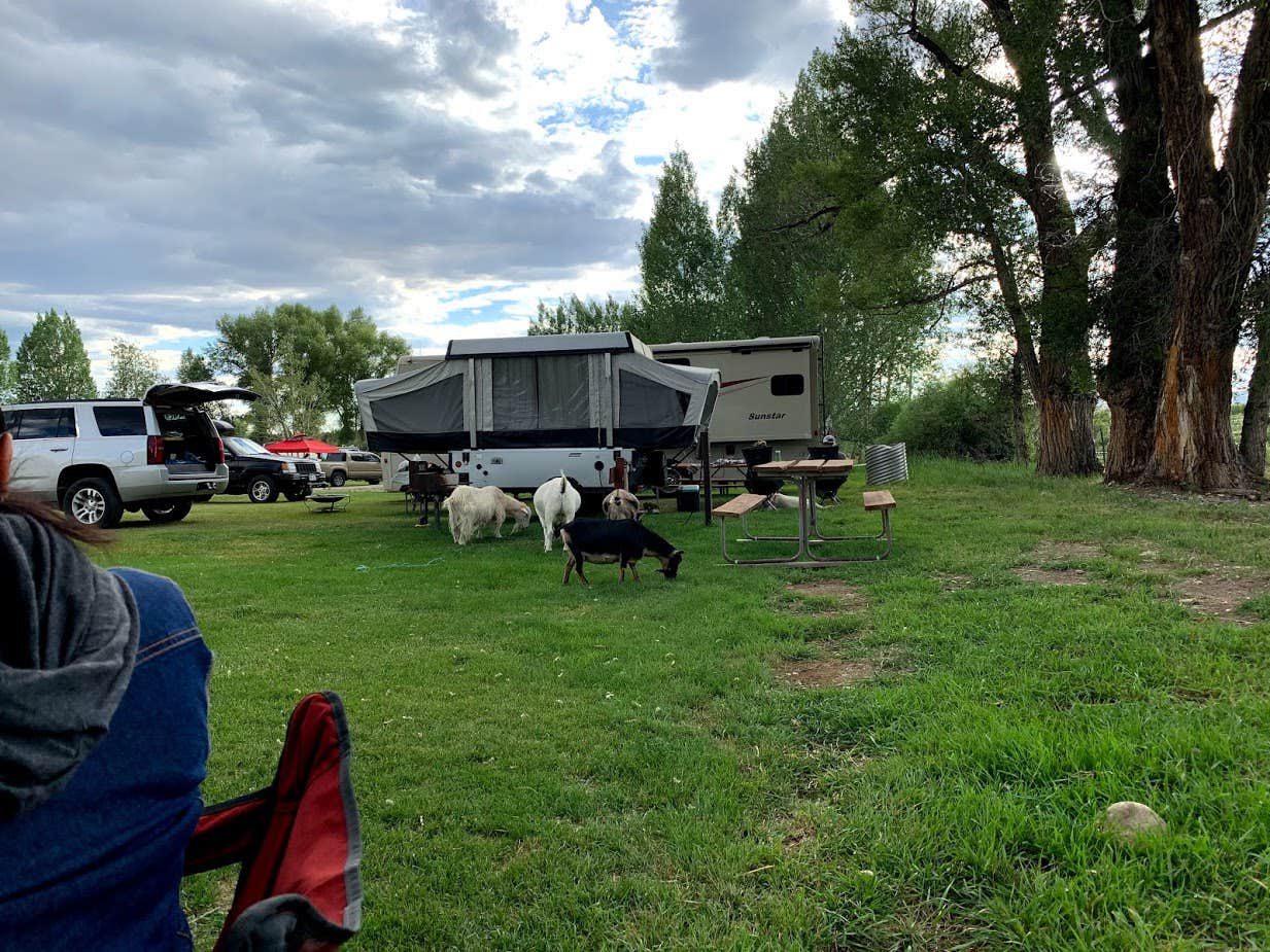 Keith S.'s photo at Gunnison KOA near Powderhorn, CO