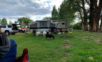 Keith S.'s photo at Gunnison KOA in Colorado