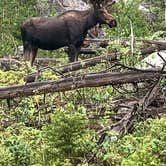Review photo of Arapaho National Forest Stillwater Campground by Keith S., September 21, 2020