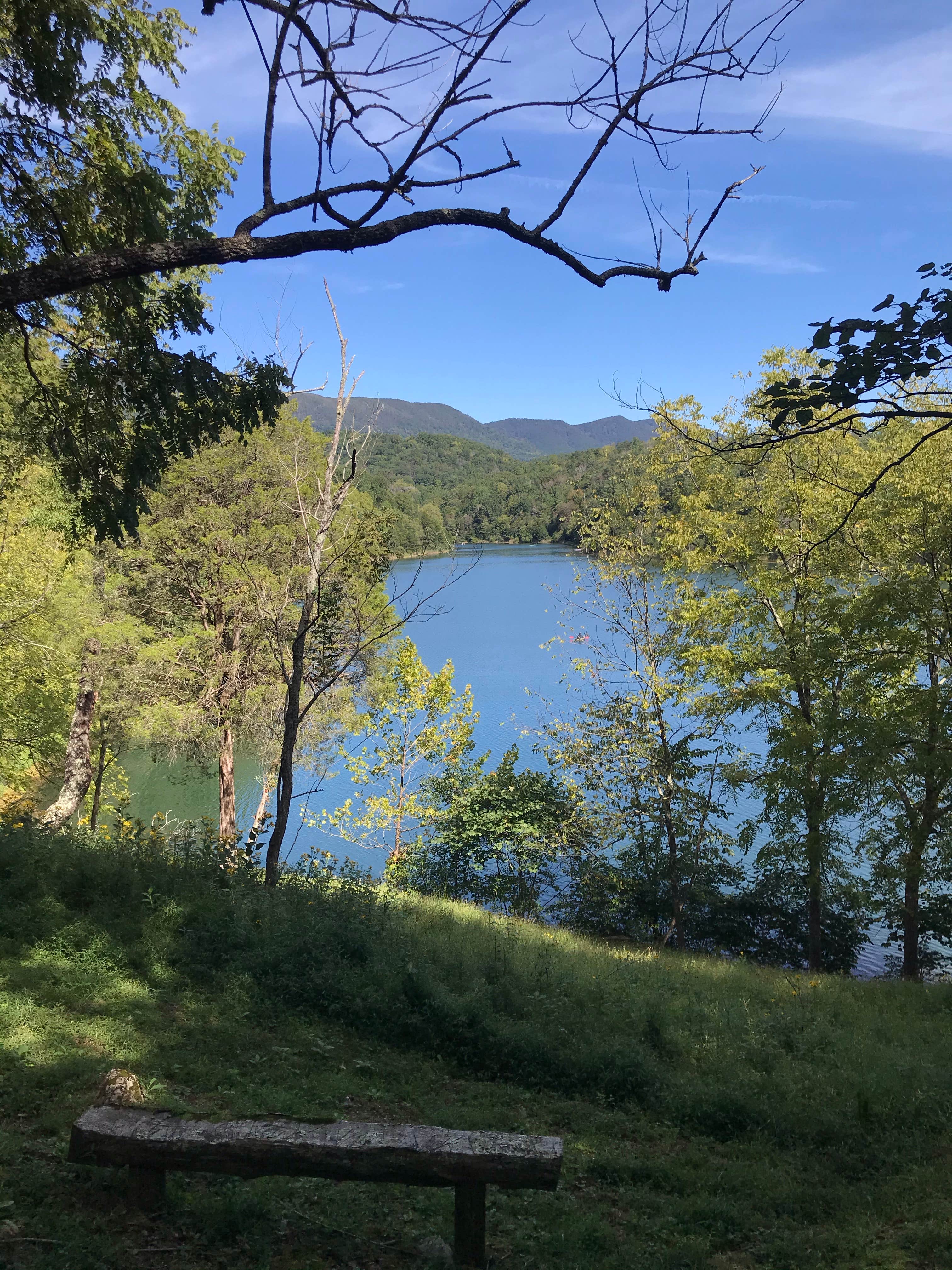 Camper-submitted photo at Lake Robertson near Goshen, VA