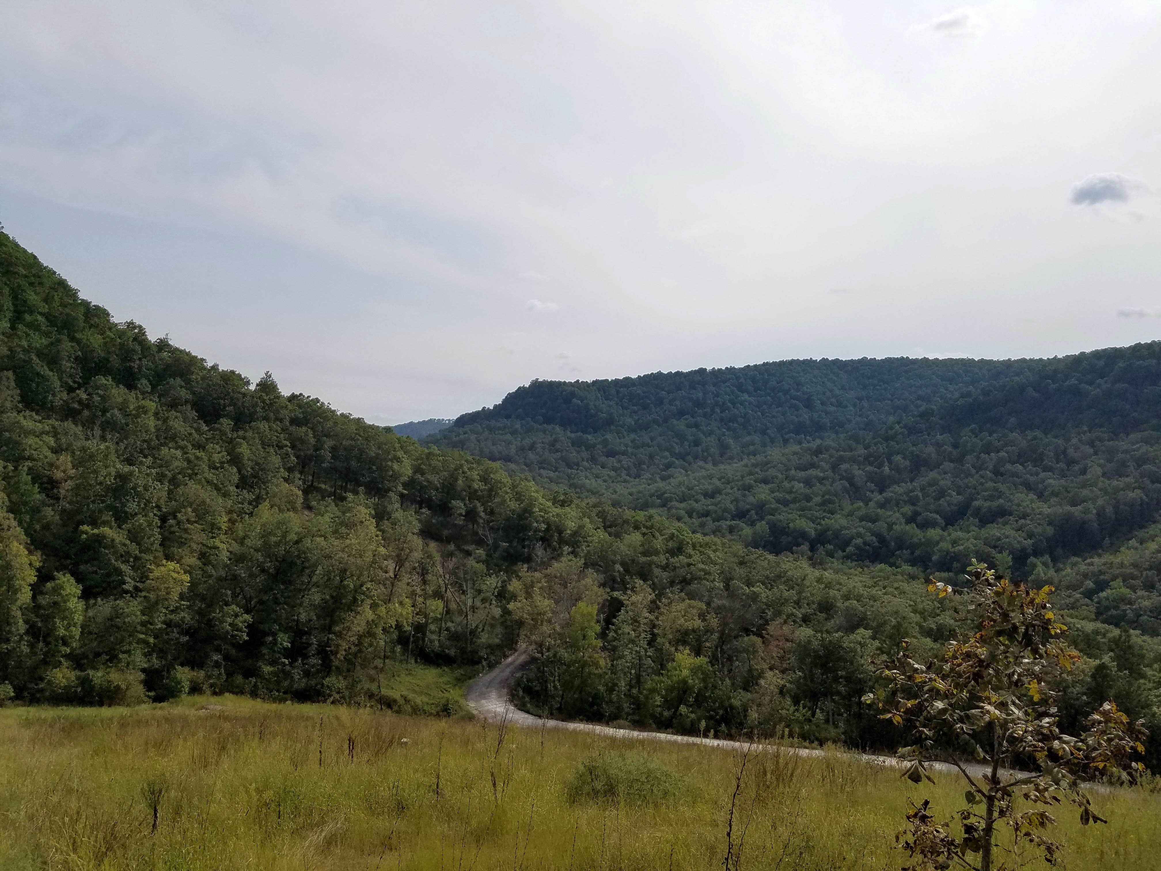 Richland Creek Recreation Area The Dyrt