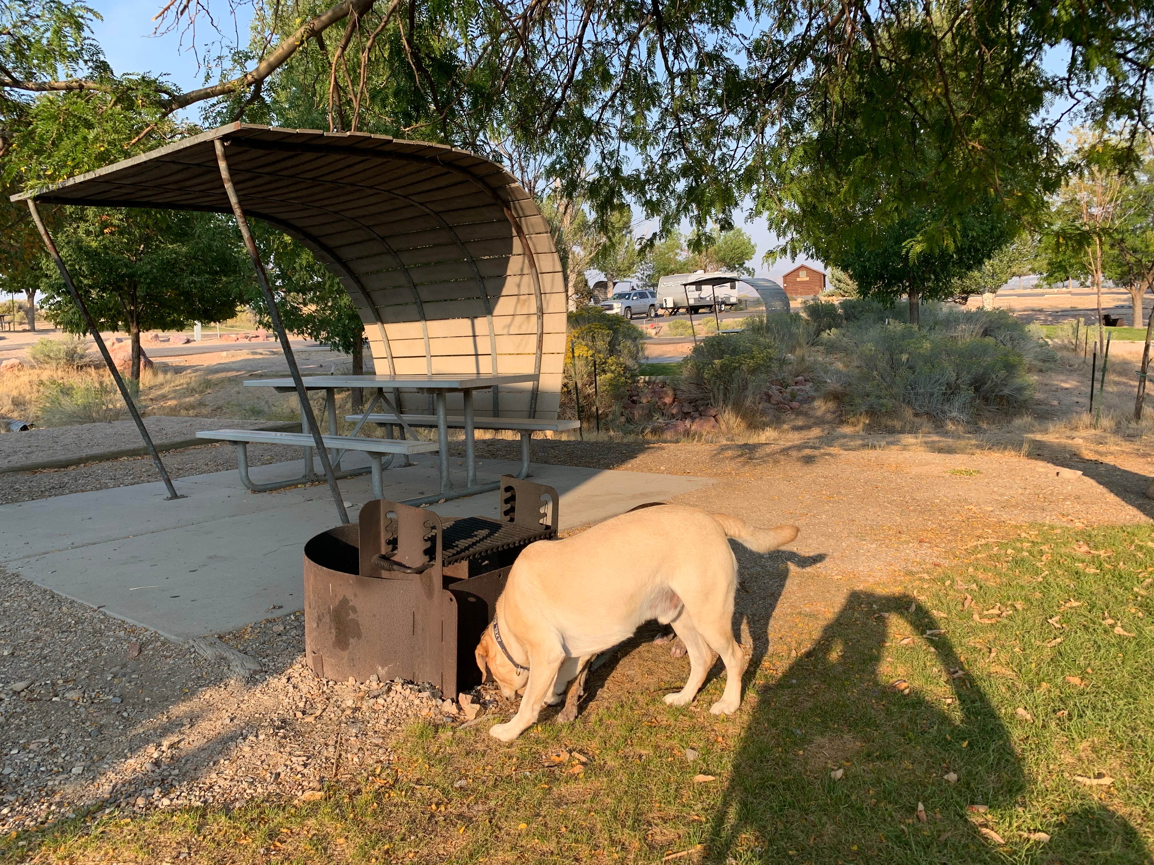 Edward R.'s photo of camping with pets at Oasis Campground — Yuba State Park near Oasis, UT