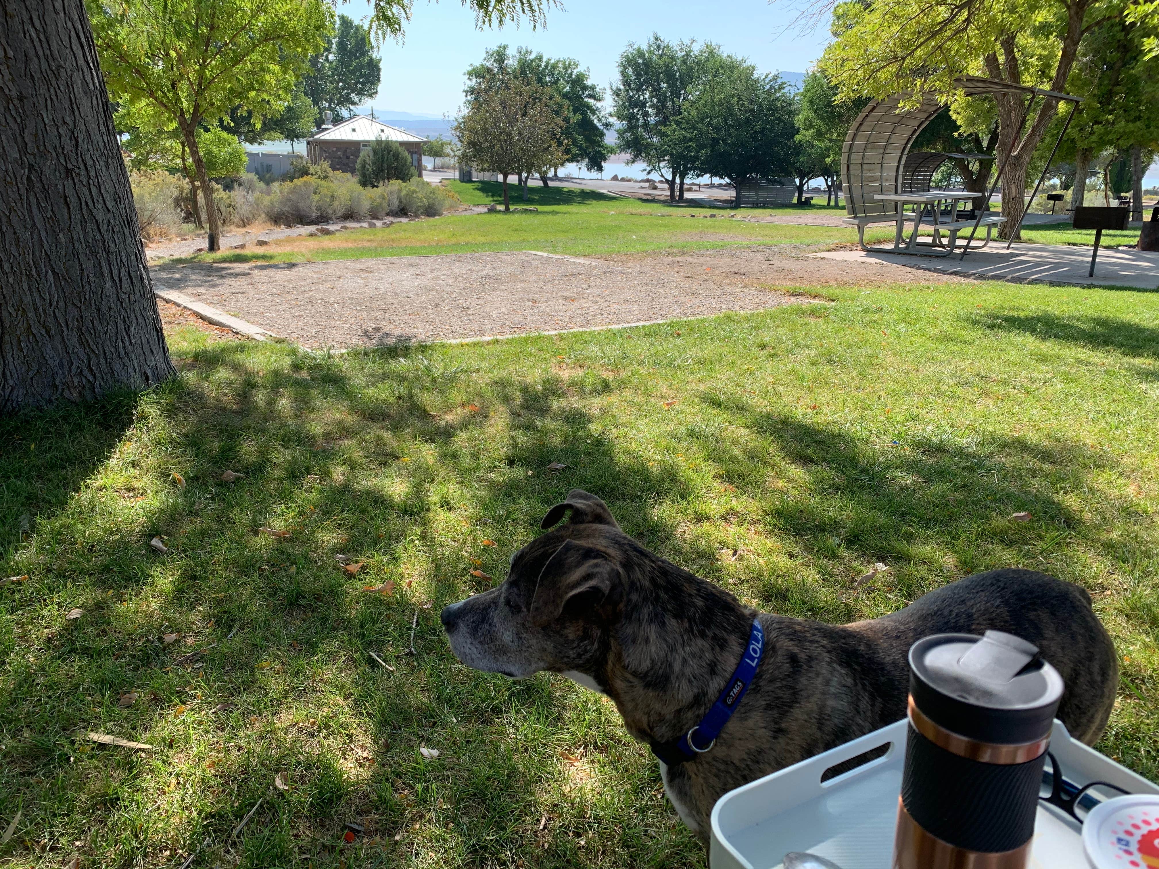 Edward R.'s photo of camping with pets at Oasis Campground — Yuba State Park near Sigurd, UT