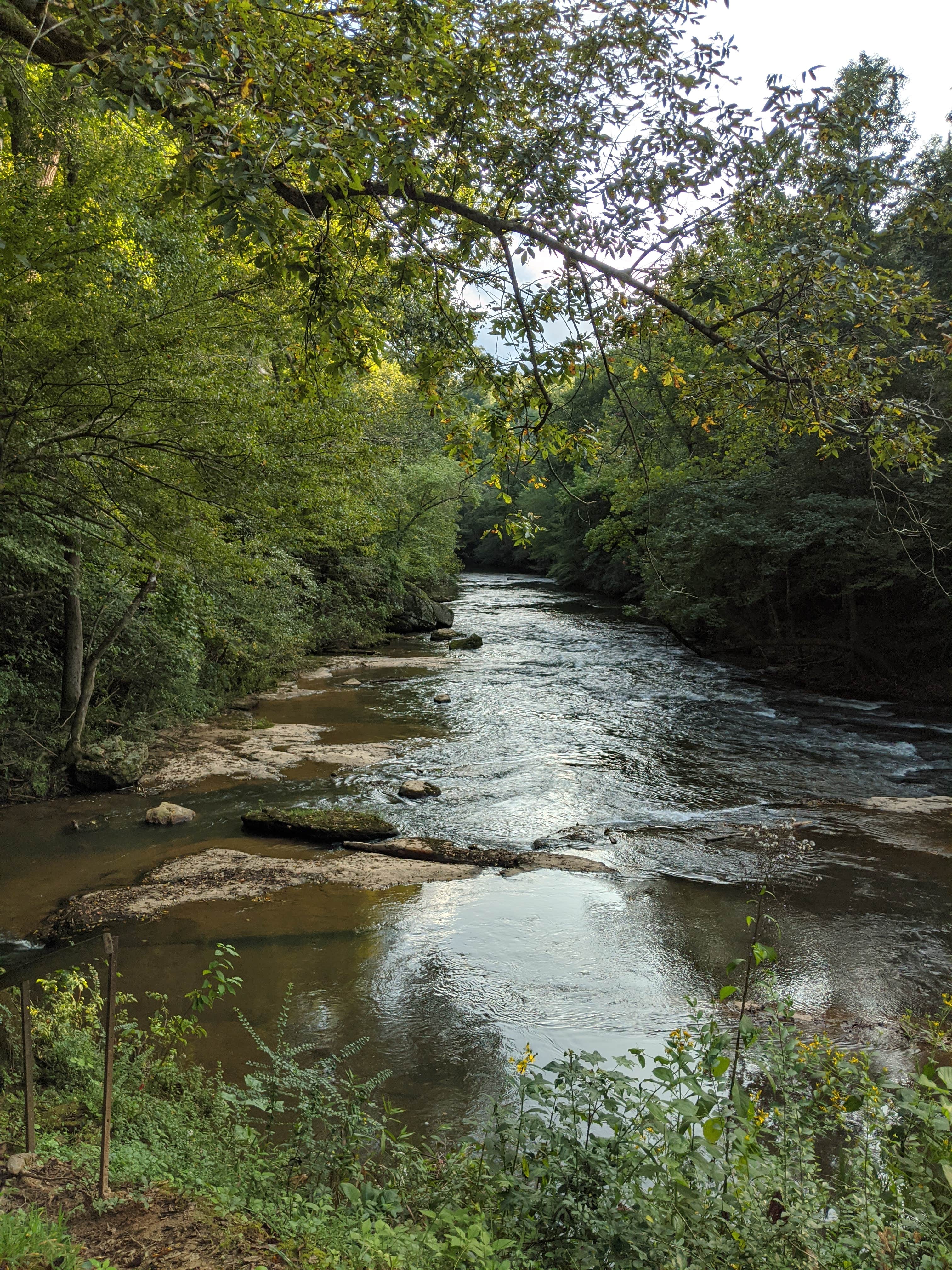 Camper submitted image from Indian Springs Campground - 5