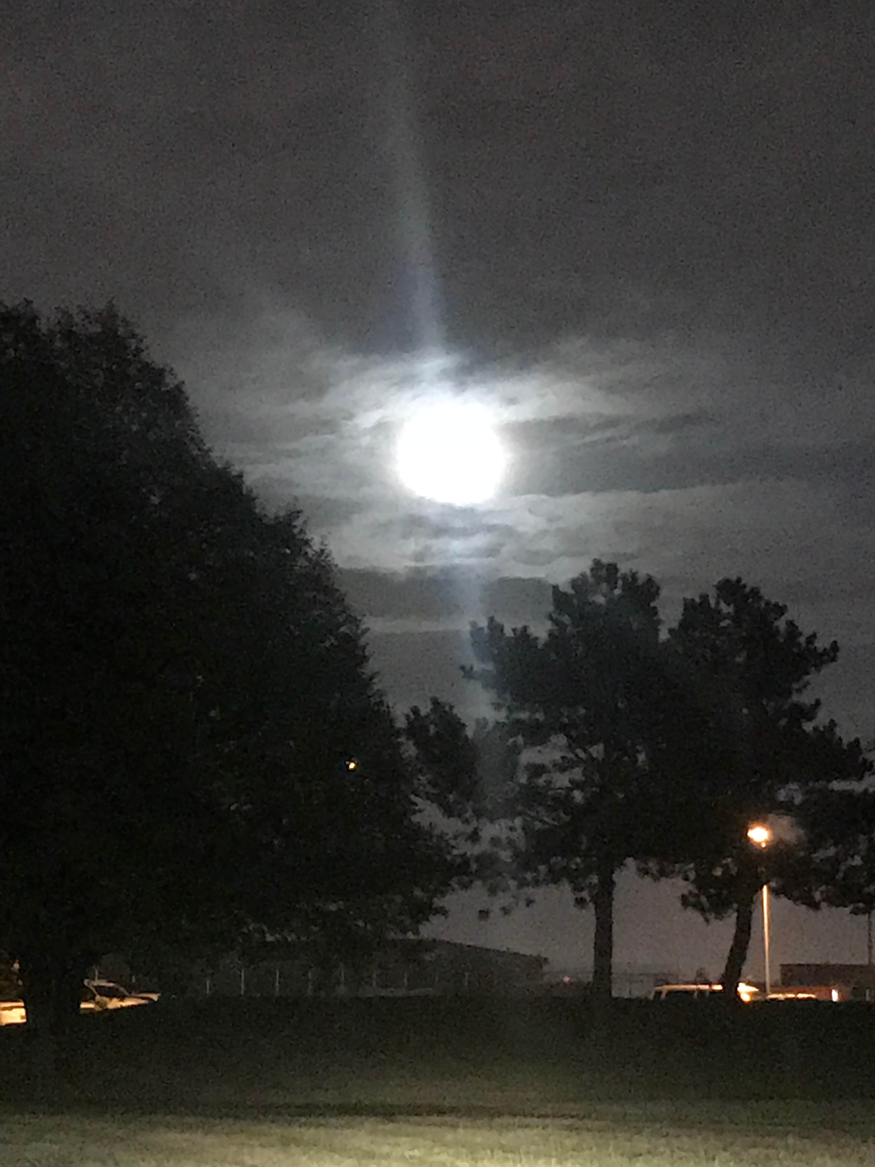 Camper-submitted photo at Primitive Campground — Jim Edgar Panther Creek State Fish and Wildlife Area near Jacksonville, IL