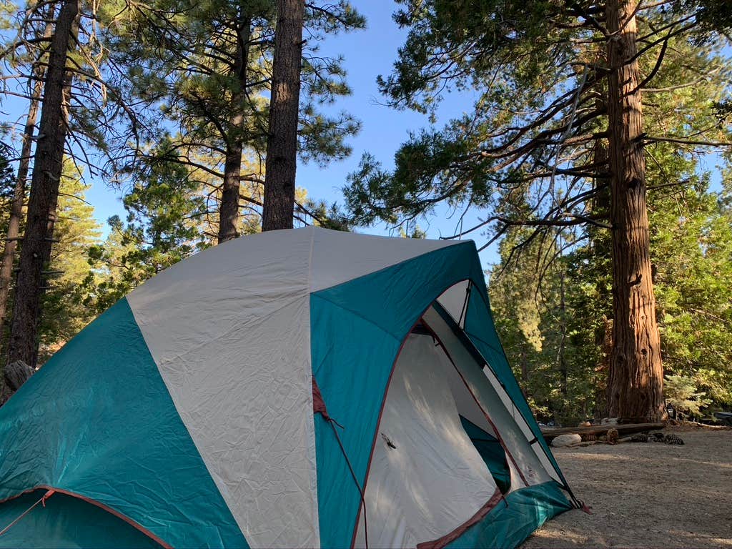 Natalie G.'s photo at Thousand Trails Idyllwild near Whitewater, CA