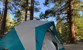 Natalie G.'s photo at Thousand Trails Idyllwild near Anza, CA