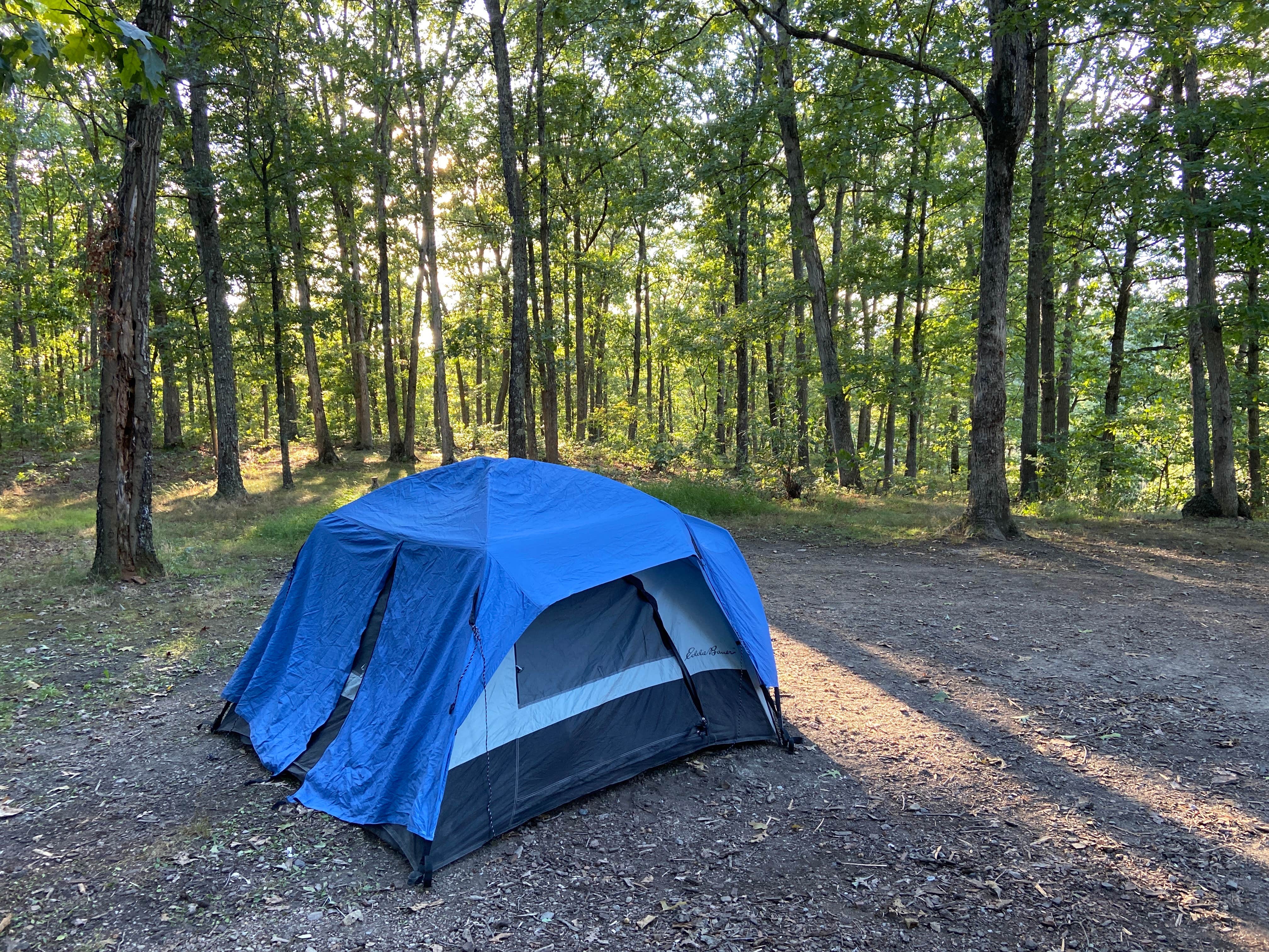 Kaitlin B.'s photo at Green Ridge State Forest near Artemas, PA