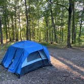 Review photo of Green Ridge State Forest by Kaitlin B., September 21, 2020