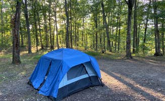 Kaitlin B.'s photo at Green Ridge State Forest in Maryland