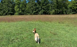 Kaitlin B.'s photo of camping with pets at Camp Ara in West Virginia