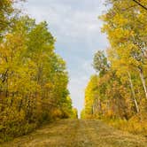 Review photo of Lake Metigoshe State Park Campground by Peyton L., September 21, 2020