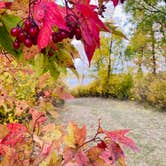 Review photo of Lake Metigoshe State Park Campground by Peyton L., September 21, 2020