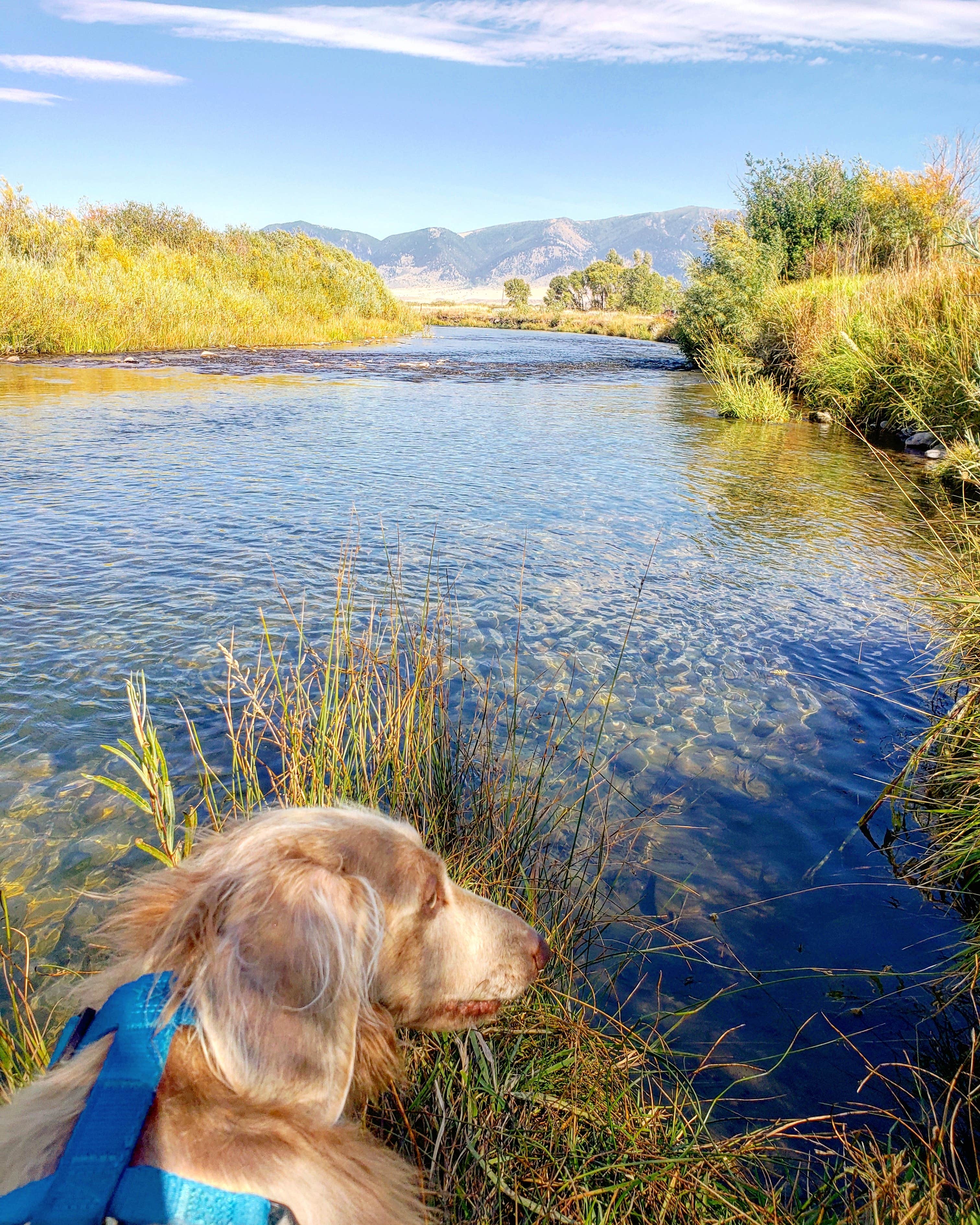 Camper-submitted photo at Valley Garden Campground near Ennis, MT