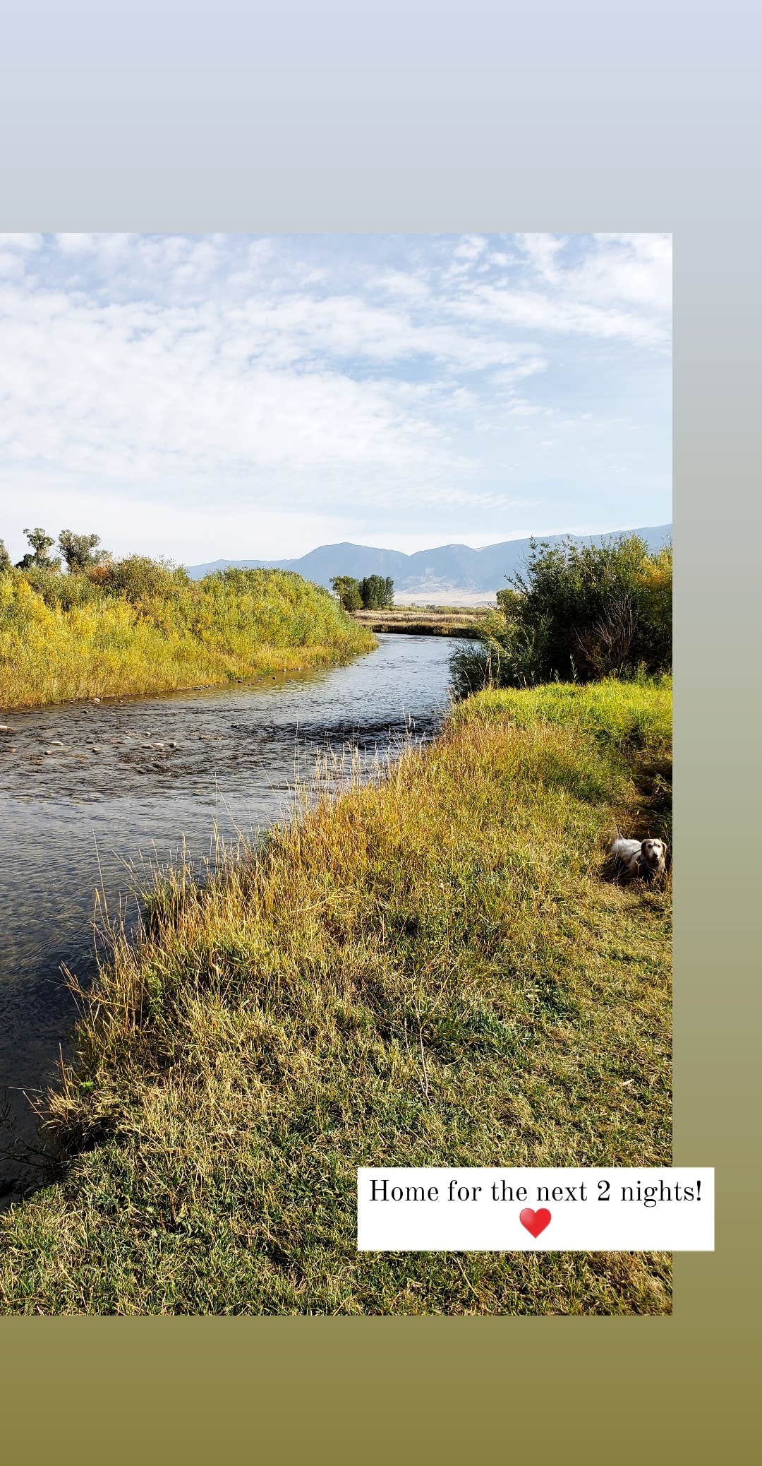Camper-submitted photo at Valley Garden Campground near Ennis, MT