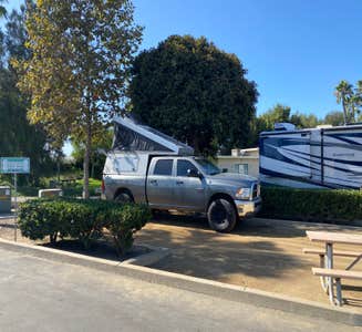 Camper-submitted photo from Prado Regional Park