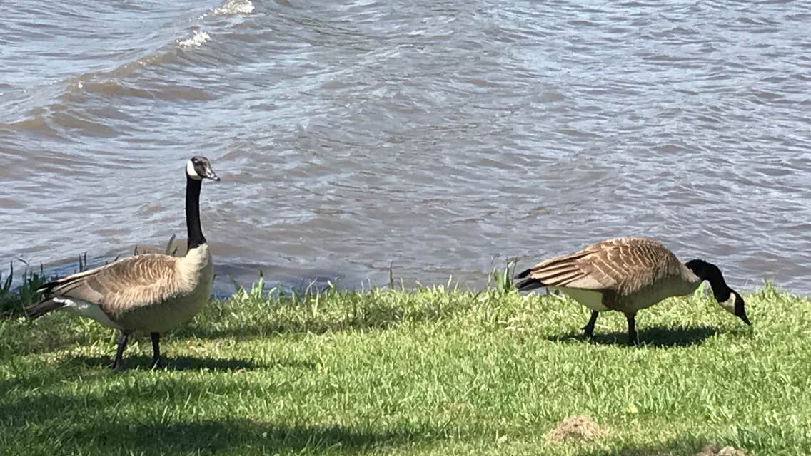 Camping near Mormon Trail County Park: McKinley Park, Creston, Iowa