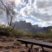 Review photo of Lost Dutchman State Park Campground by Carly E., May 17, 2018