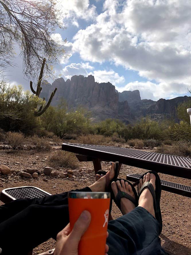 Camper submitted image from Lost Dutchman State Park Campground - 4