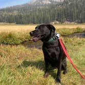 Review photo of Manzanita Lake Campground — Lassen Volcanic National Park by Christina L., September 22, 2020