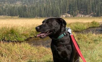 Christina L.'s photo of camping with pets at Manzanita Lake Campground — Lassen Volcanic National Park near Redwoods, CA