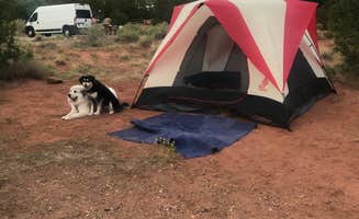 Katriza L.'s photo of camping with pets at Vista Linda Campground — Santa Fe National Forest near Cuba, NM