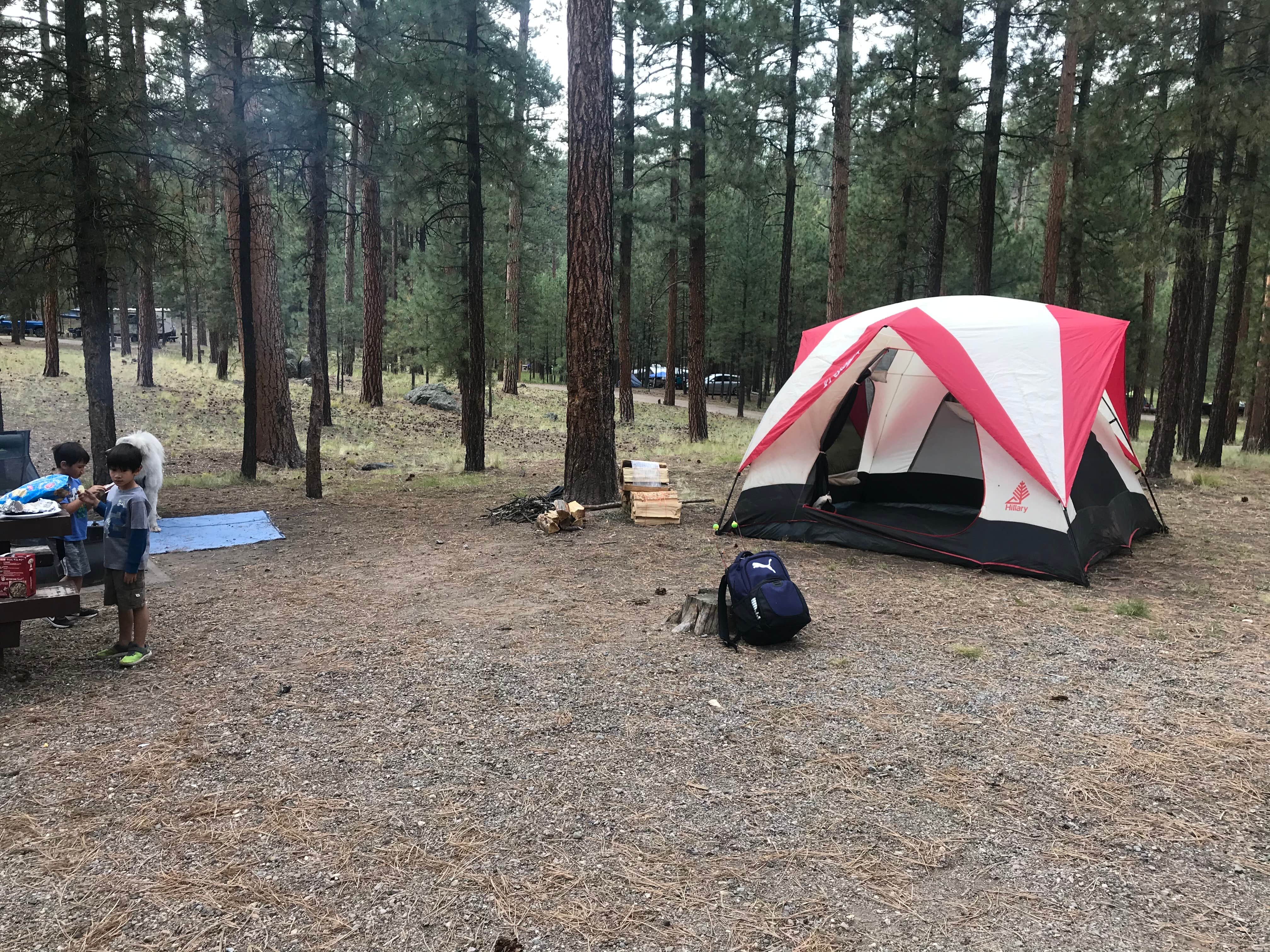 Katriza L.'s photo at Jemez Falls Campground near Cochiti Lake, NM
