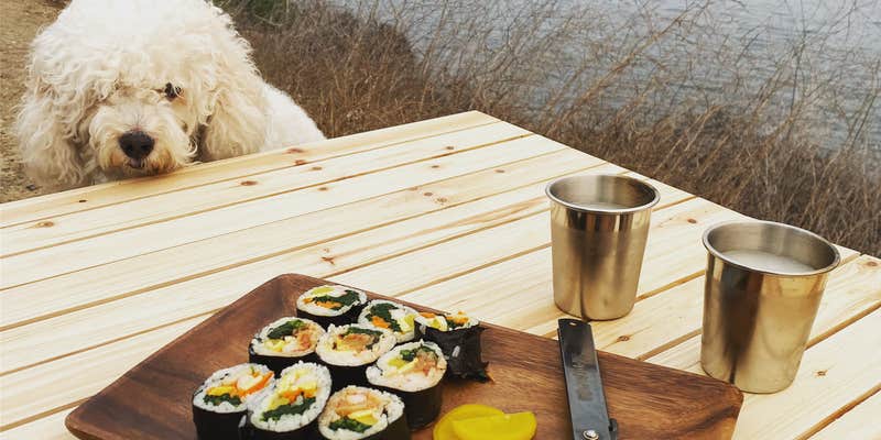 Camper submitted image from Arroyo Hondo Vista Point Rest / Camp area