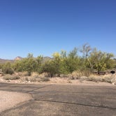 Review photo of Lost Dutchman State Park Campground by Carly E., May 17, 2018