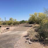 Review photo of Lost Dutchman State Park Campground by Carly E., May 17, 2018