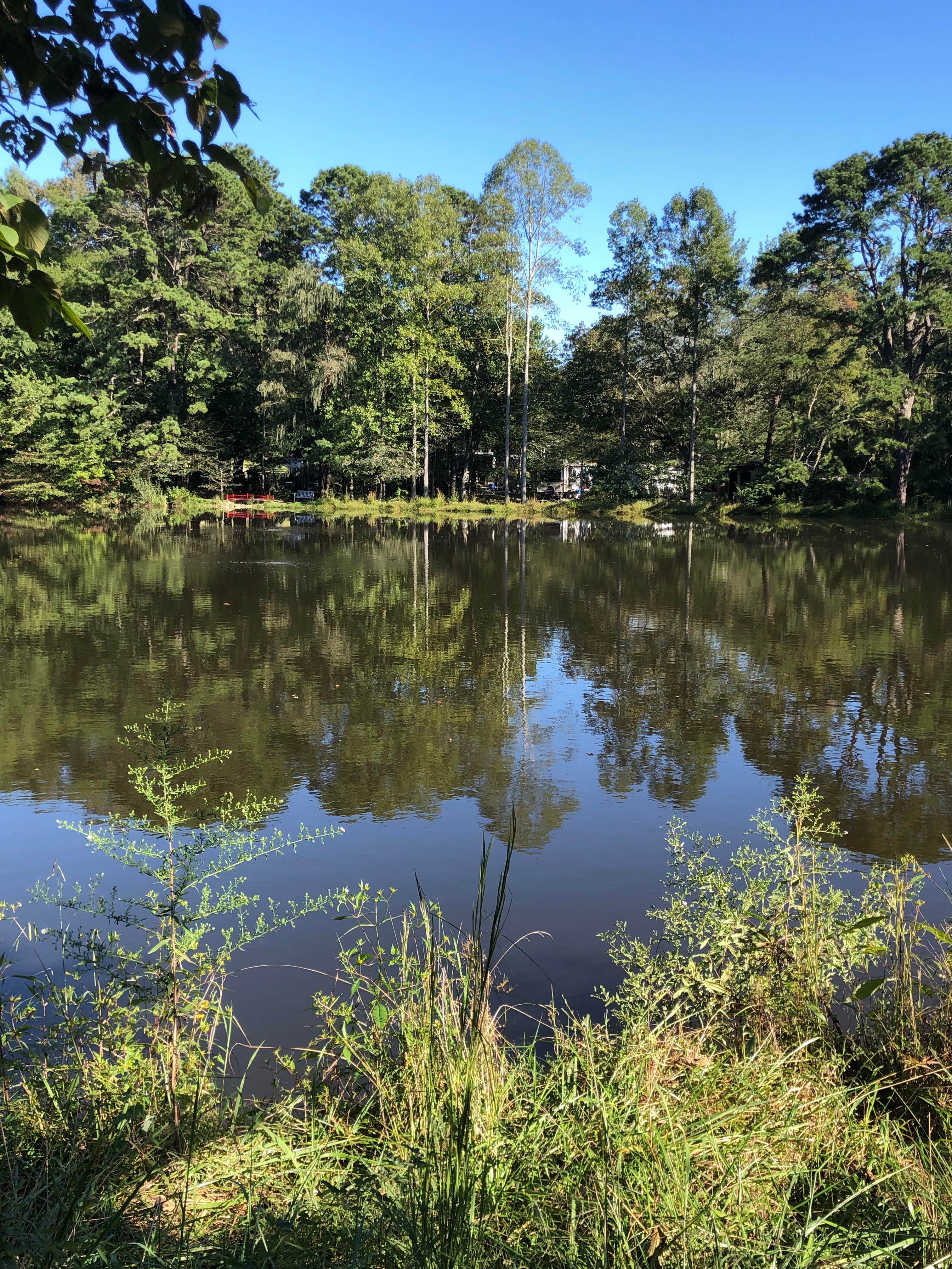 Camper-submitted photo at Red Gates RV Park near Candler, NC