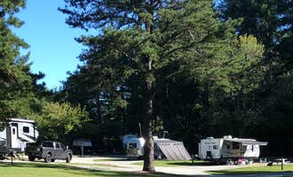 Camping near Rooster Ridge Cabin: Red Gates RV Park, Dana, North Carolina