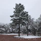 Review photo of Mountaindale Cabin & RV Resort by Judy P., September 22, 2020