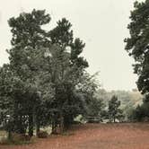 Review photo of Mountaindale Cabin & RV Resort by Judy P., September 22, 2020