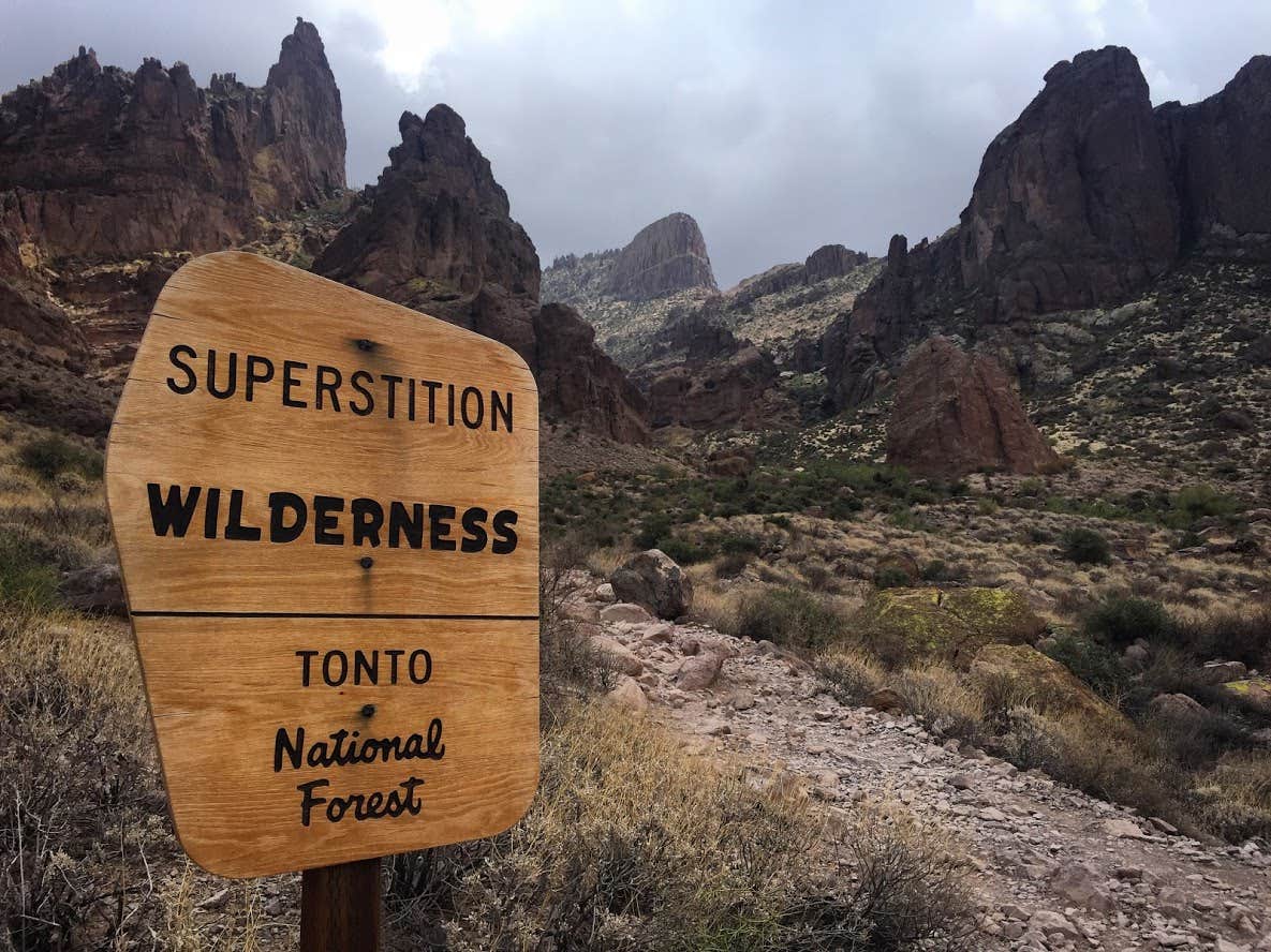 Camper submitted image from Lost Dutchman State Park Campground - 5