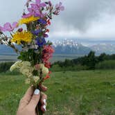 Review photo of Shadow Mountain Dispersed Camping by Anna M., September 22, 2020
