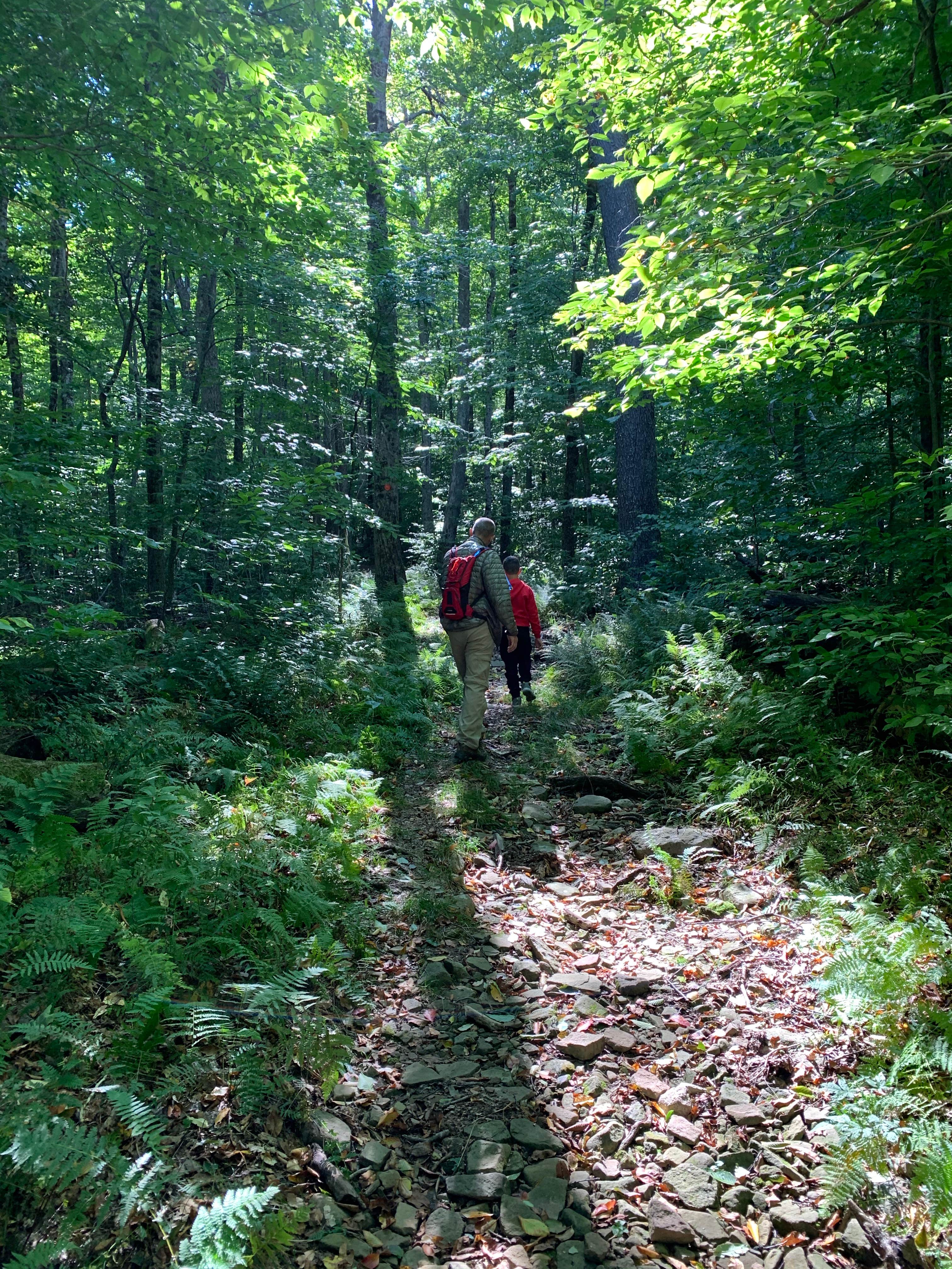 Camping near Boheme Retreats: Mongaup Pond, Claryville, New York