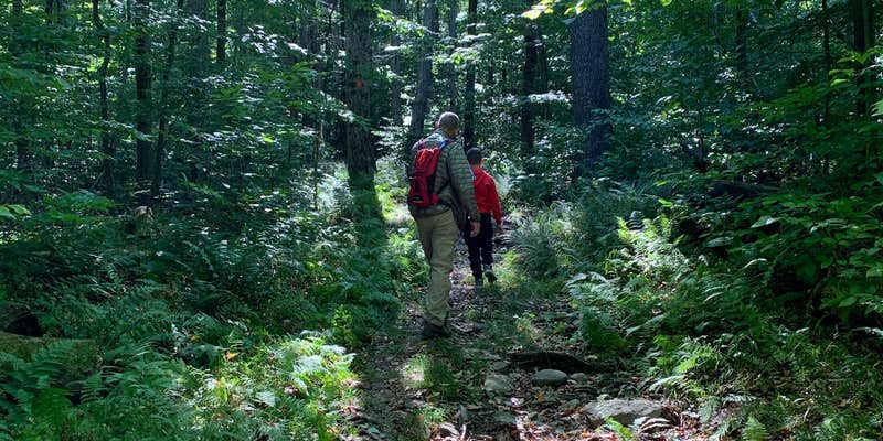 Camper submitted image from Mongaup Pond