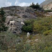 Review photo of Blue Lake Campground - Temporarily Closed by Nick C., September 22, 2020