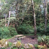 Review photo of Lyre River Campground by Caitlin , September 22, 2020