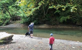 Caitlin's photo of camping with pets at Lyre River Campground near Port Angeles, WA