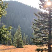 Review photo of Bear Lake Campground (CO) by Teresa T., September 22, 2020