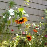 Review photo of Burlingame State Park Campground by Rachel D., September 22, 2020